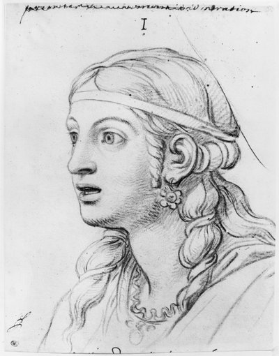 Admiration with Astonishment by Charles Le Brun
